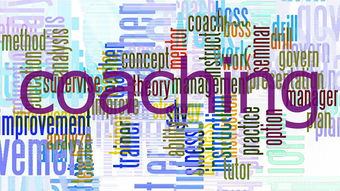 开云体育app入口-意甲球迷忠诚计划对比赛日收入改善的作用,意甲忠诚球员