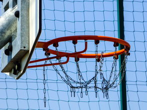 开云体育官网-篮球专项技能动作运动控制机制分析与应用,篮球运动主要技术动作方法及其运用