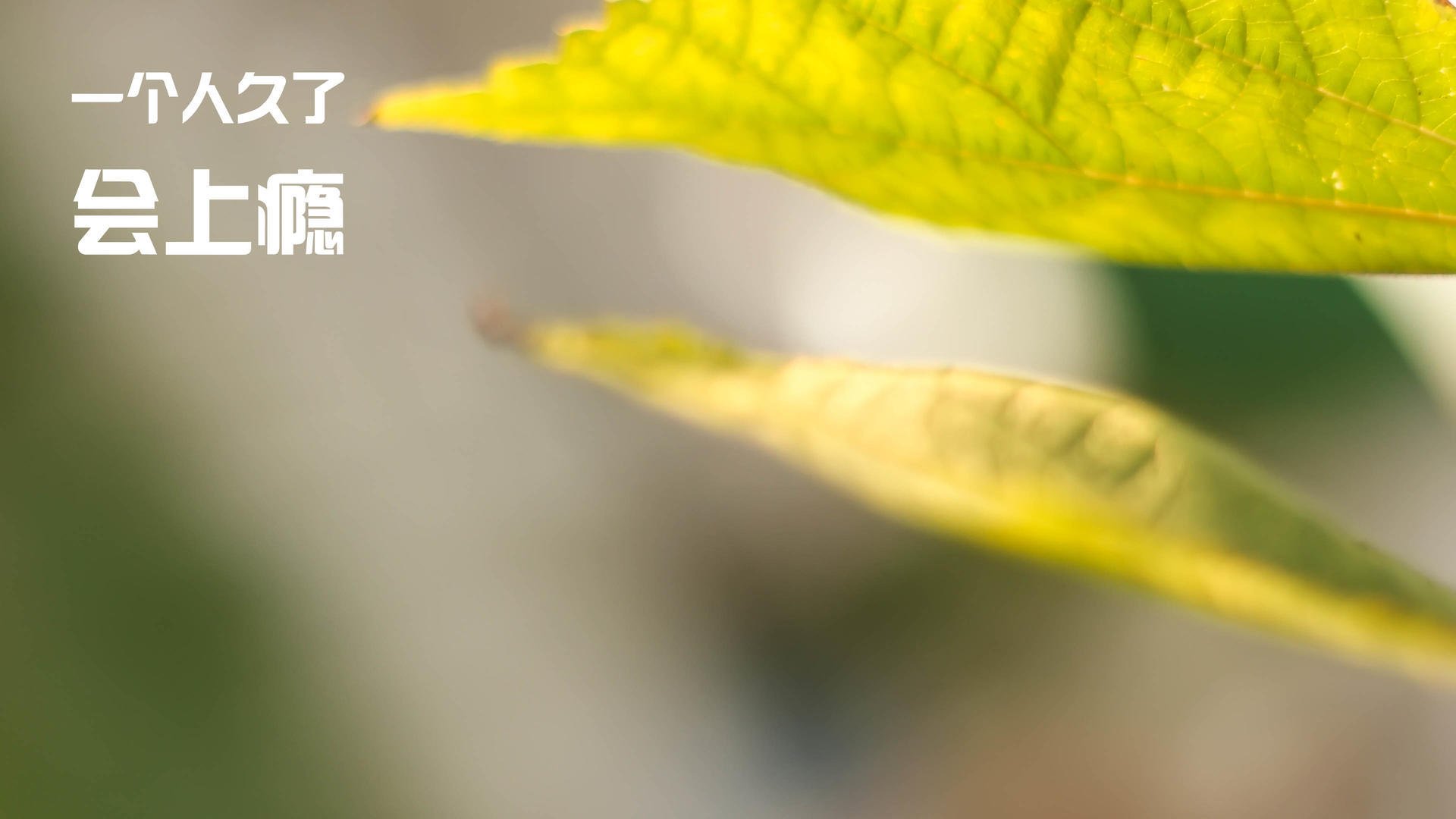 开云体育官网-西甲裁判团队引入语义干预机制减少VAR误判分歧,西甲主裁判名单