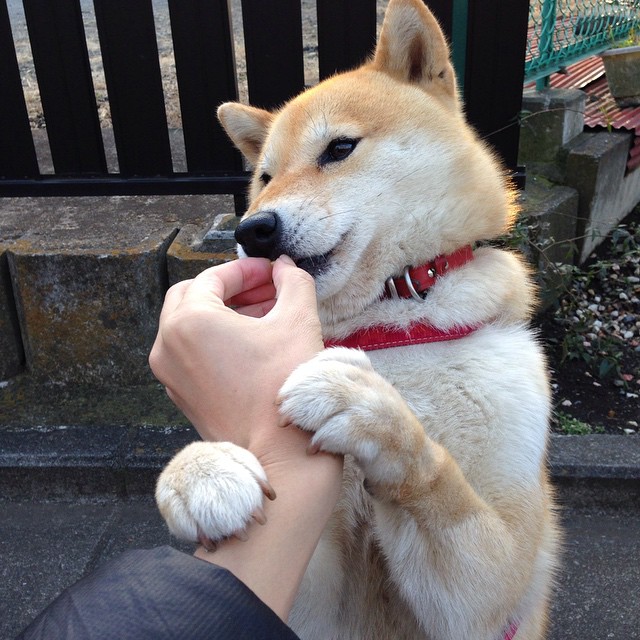 开云体育在线登入-青少年体育社交行为与心理健康关联,体育心理健康与社会适应