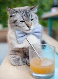 开云app-吴前控场能力提升浙江队表现稳健，浙江队吴前伤势怎么样