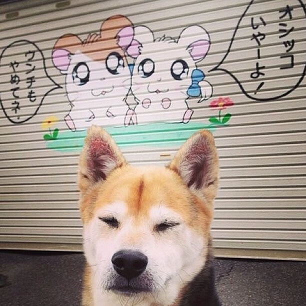 开云体育官网在线-女子接力排名第七 表现受肯定，女子接力选手