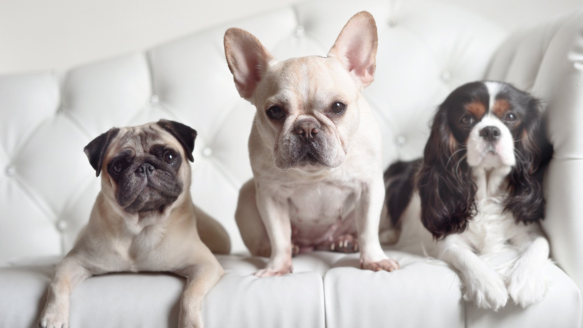 开云体育官网在线-女子接力排名第七 表现受肯定,女子接力选手