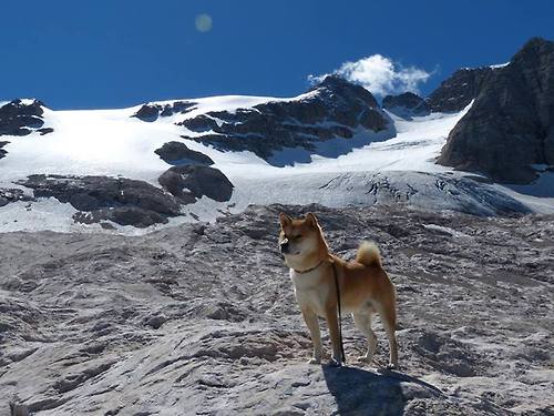 开云体育网站-拉齐奥精准传导掌握中场控制权，拉齐奥的传奇球员