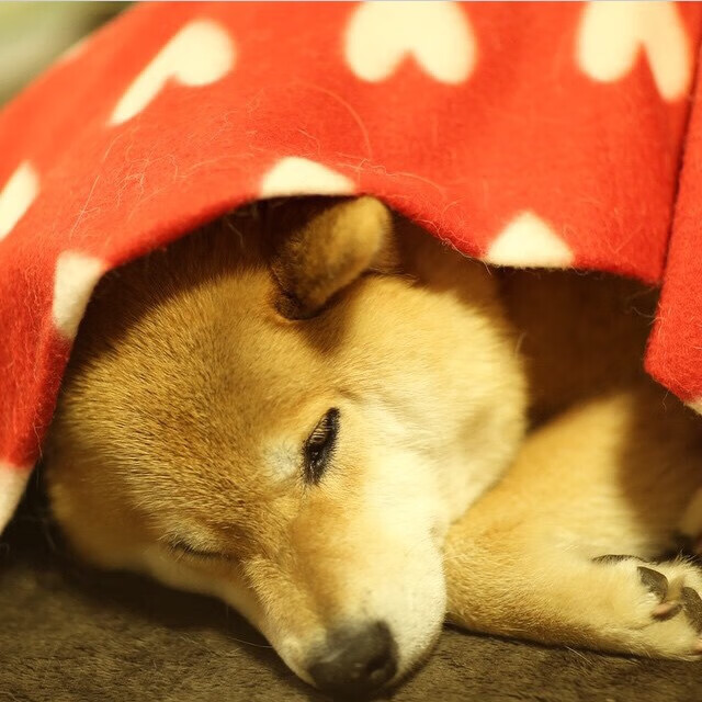 开云体育足球-控球与推进平衡是否是防止丢球的最优解,控球动作