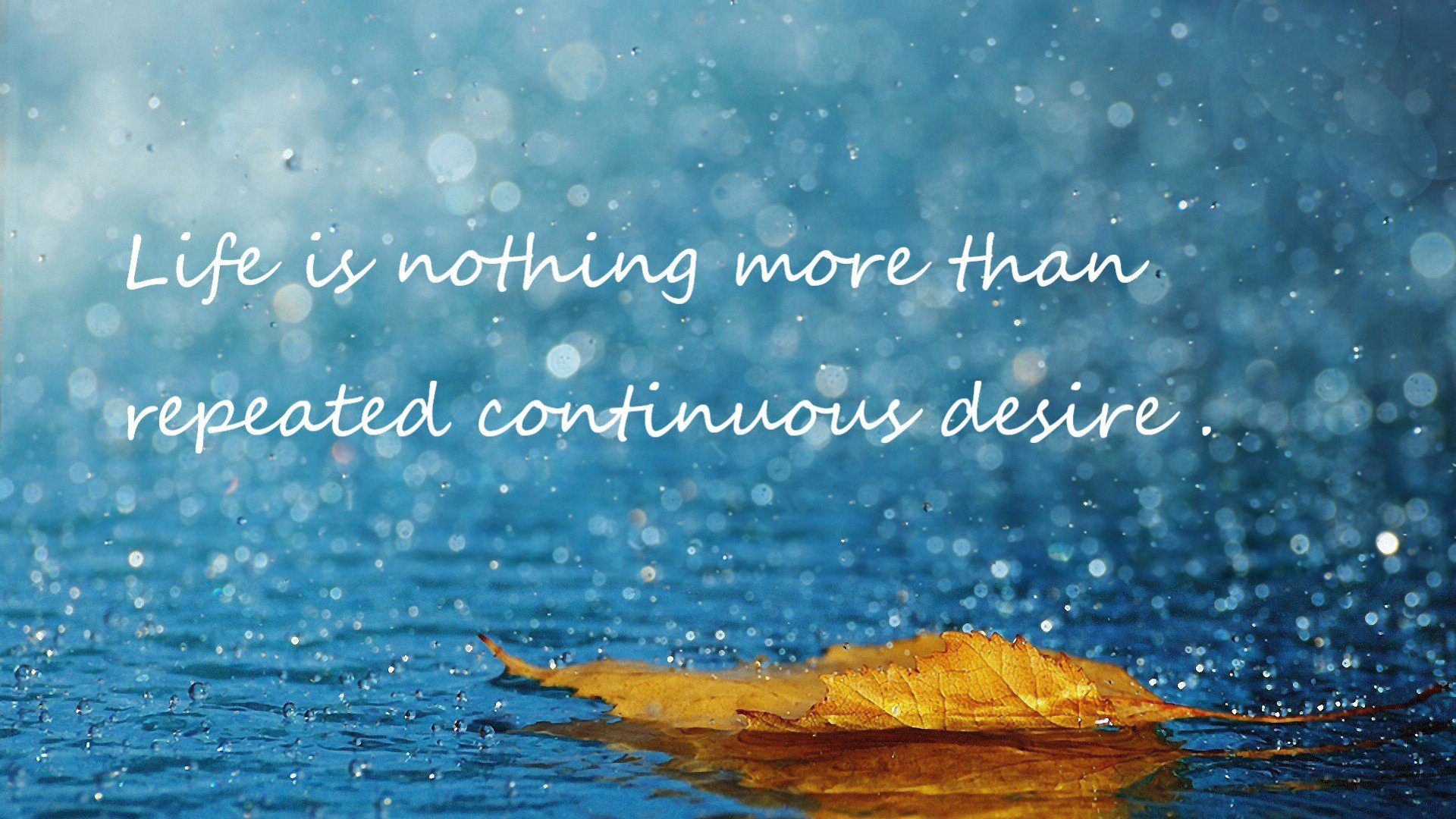 kaiyun开云体育-职业俱乐部脱离本地青训合作机制，职业俱乐部的定义