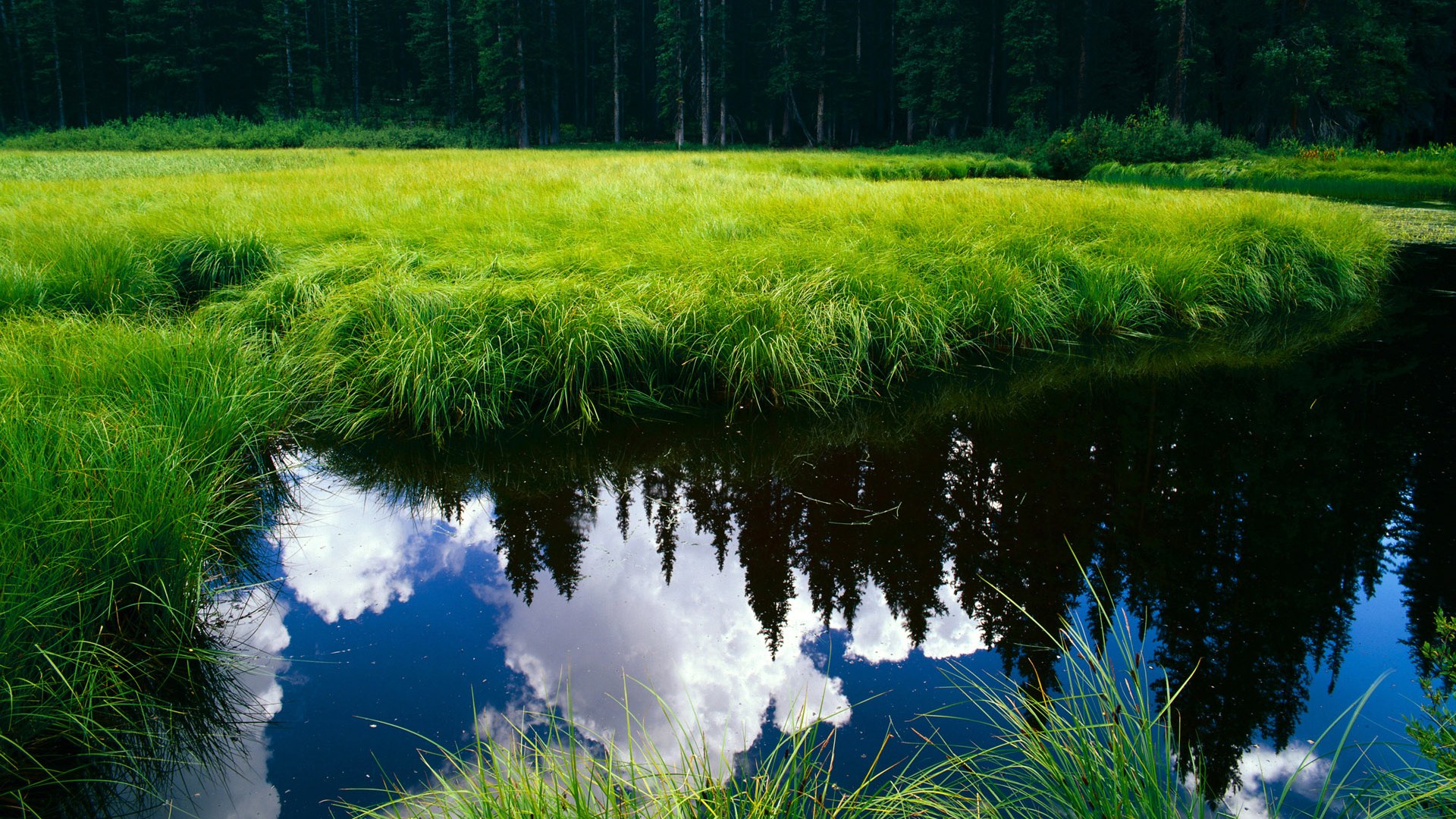 开云体育官网app-青少年体育大讲堂推广科学训练理念，青少年体育宣传