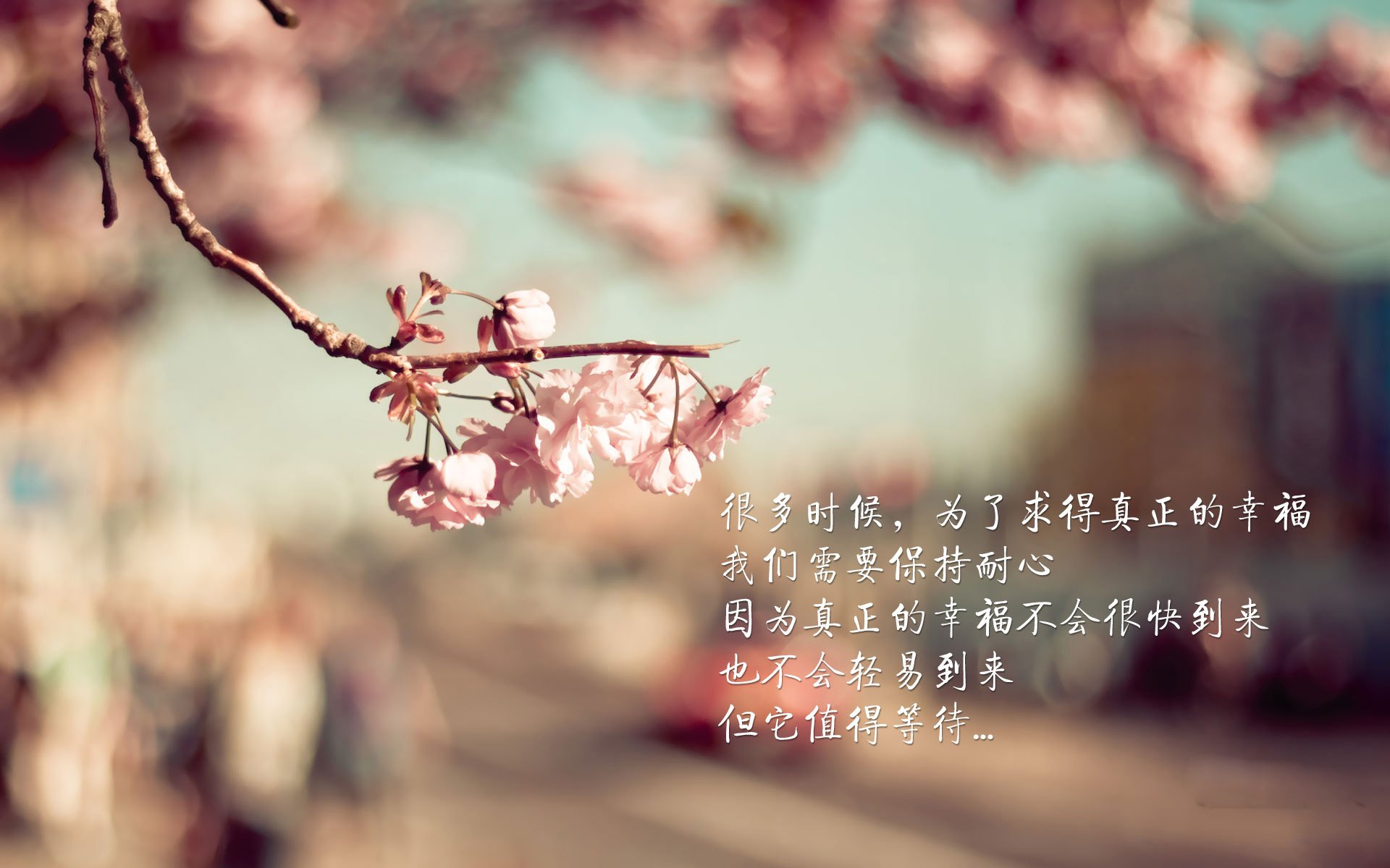 开云在线登入-世界杯精彩瞬间:动人心弦,永不磨灭!,世界杯经典镜头