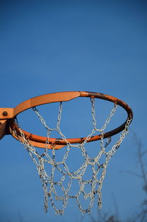 开云app-希腊男篮在欧洲锦标赛中再赢冠军,势如破竹续写王者荣耀,2021年希腊男篮