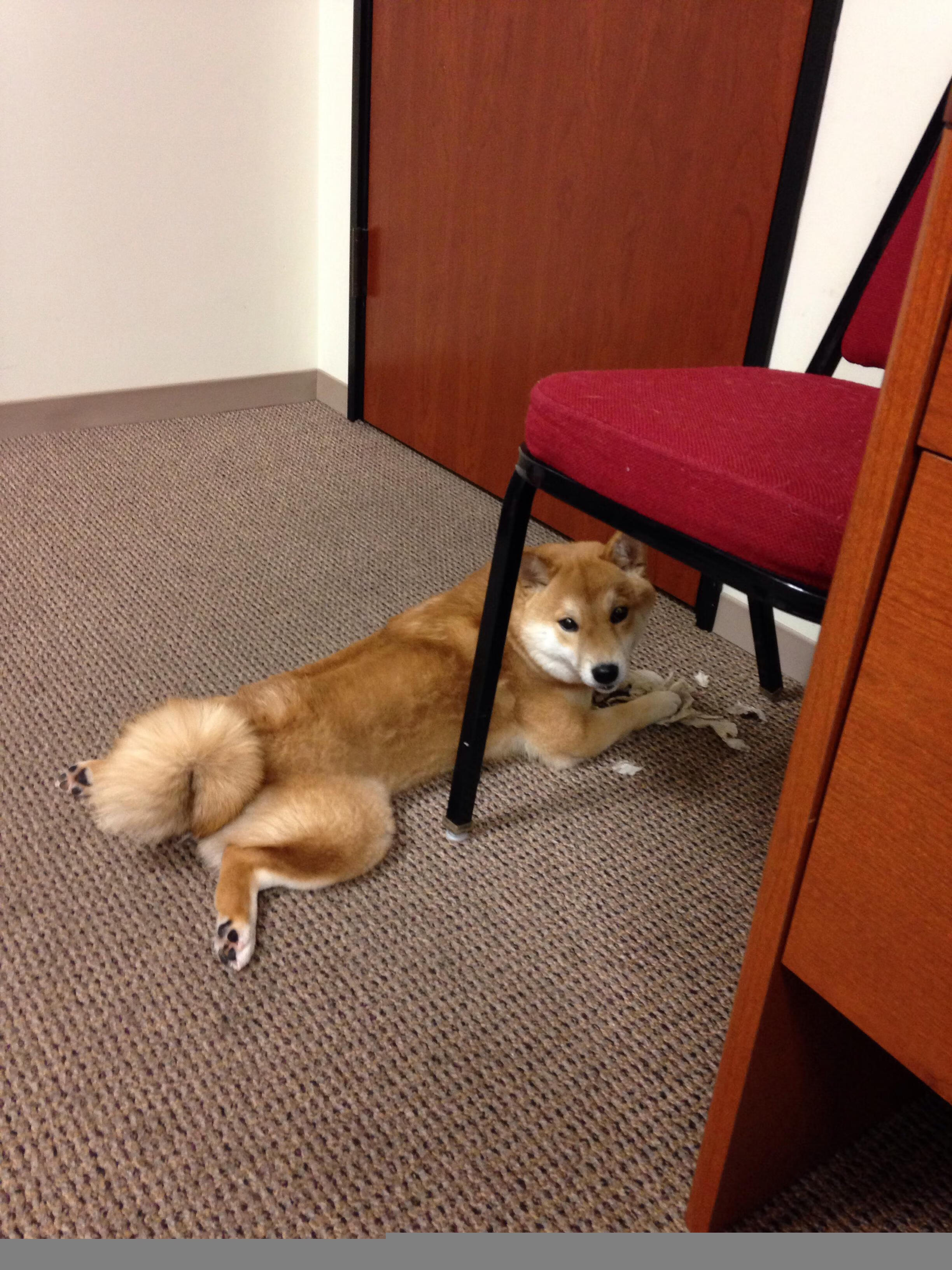 开云官方网-张伟丽与小朋友互动推广格斗运动,张伟丽格斗集锦