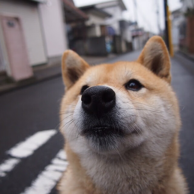 开yun官网-林丹带孩子首次亮相羽毛球馆，林丹儿子打羽毛球吗