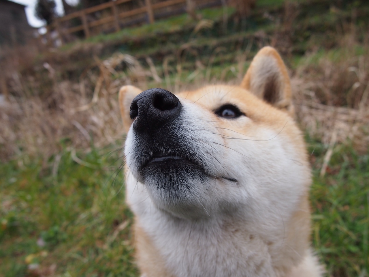开云体育app-中超是否支持球员自主参与体育营销策划,中超联赛允许球迷进场吗