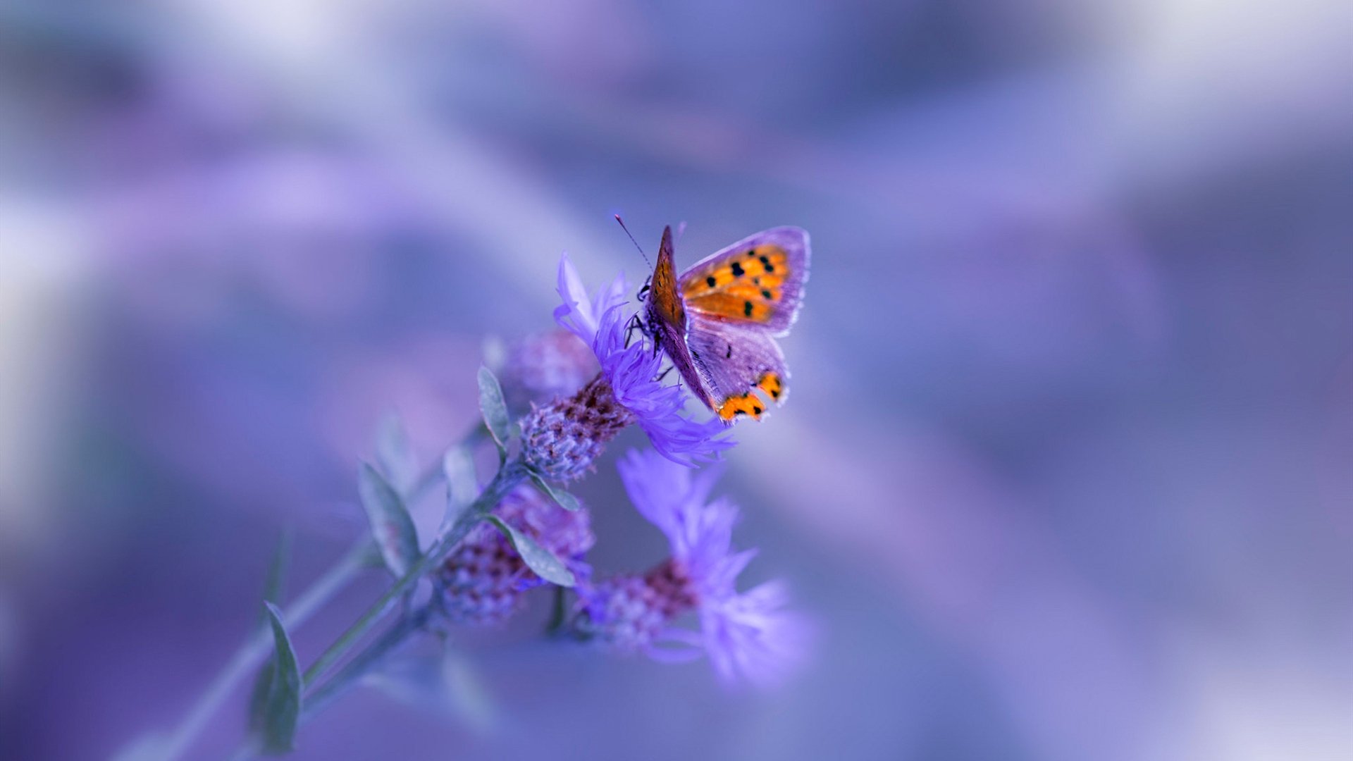 开云体育app在线-五大联赛封堵传球能力数据被重视,五大联赛威胁传球榜