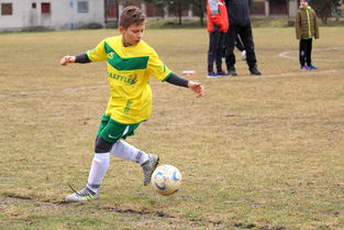 开云体育网站-体育新闻中心呈现城市运动节日精彩时刻,体育新闻专题报道