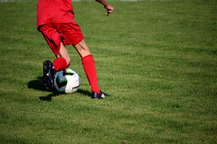 开云体育官网下载-俱乐部引入智能出场管理系统 提高训练组织效率，俱乐部场地