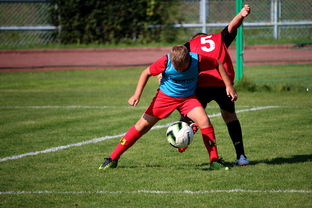 开云体育官网下载-俱乐部引入智能出场管理系统 提高训练组织效率,俱乐部场地